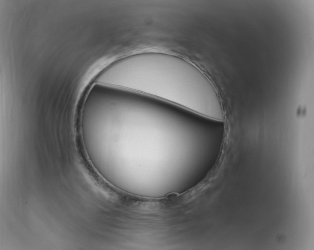 X0000113960104200909251036