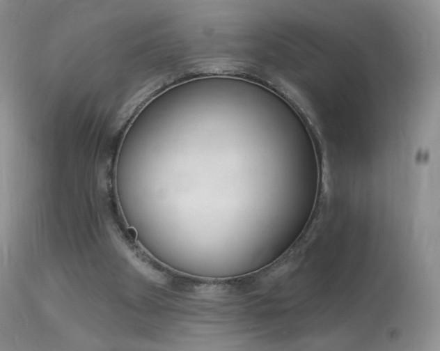 X0000113960105200909251036