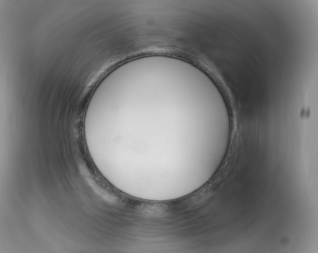 X0000113960106200909251036