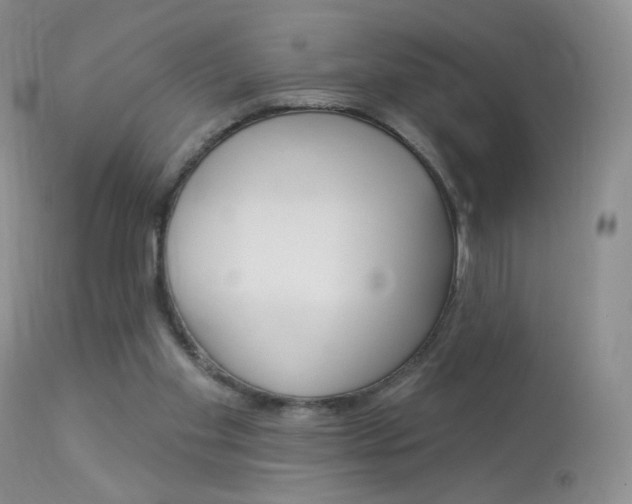X0000113960109200909251036