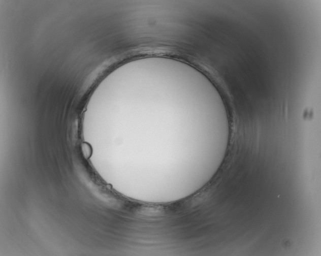 X0000113960110200909251036