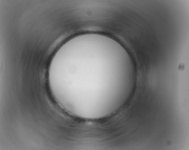 X0000113960111200909251036
