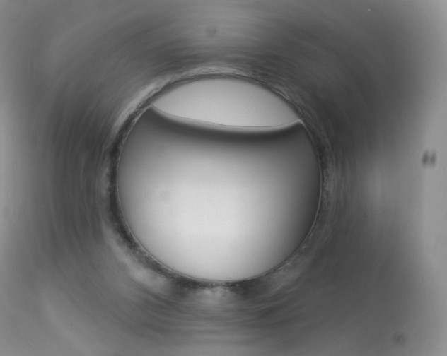 X0000113960112200909251036