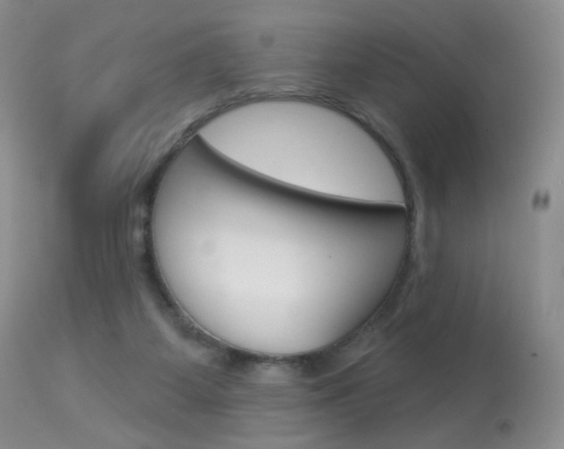 X0000113960115200909251036