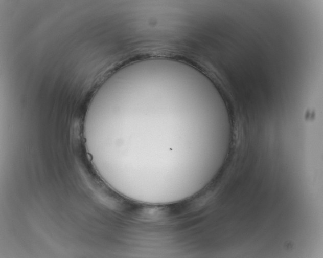 X0000113960117200909251036