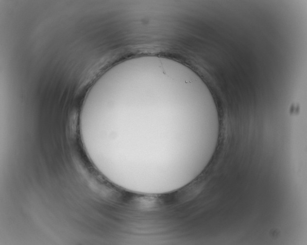 X0000113960118200909251036