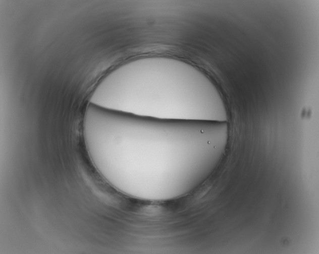 X0000113960119200909251036