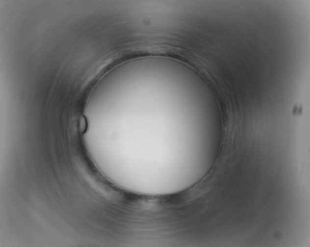 X0000113960120200909251036