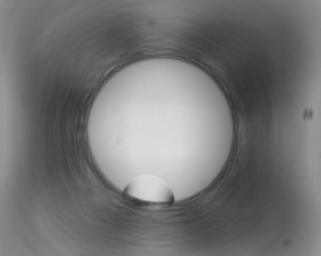 X0000113960121200909251036