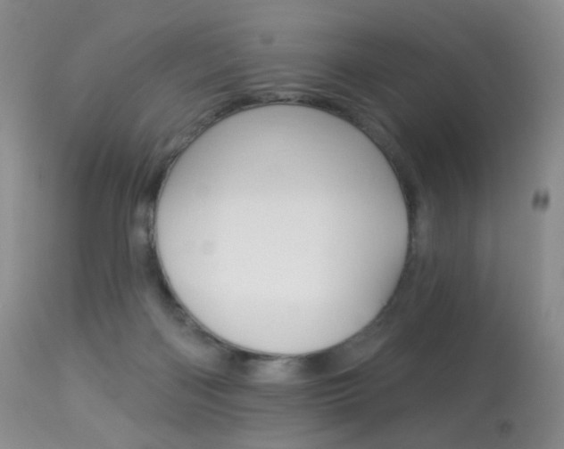 X0000113960122200909251036