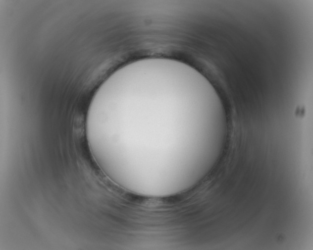 X0000113960123200909251036