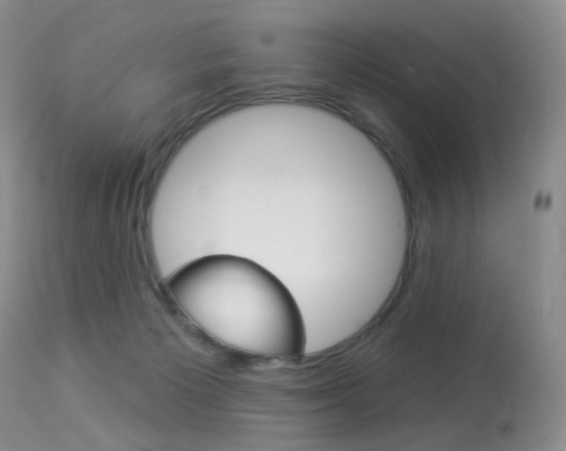 X0000113960125200909251036