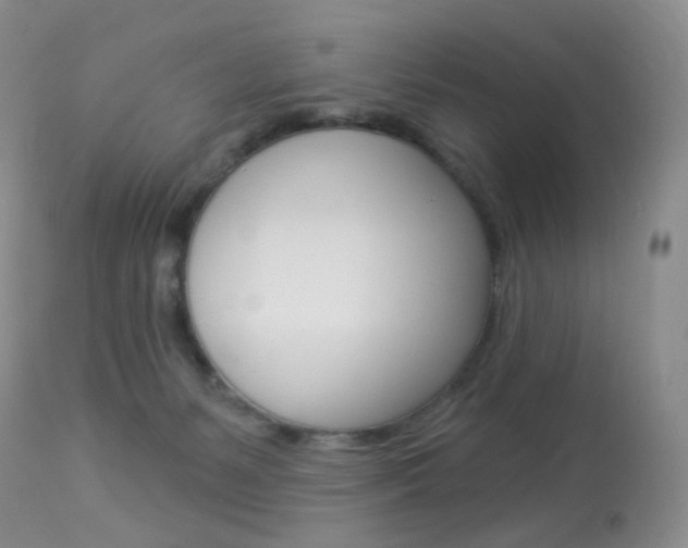 X0000113960127200909251036