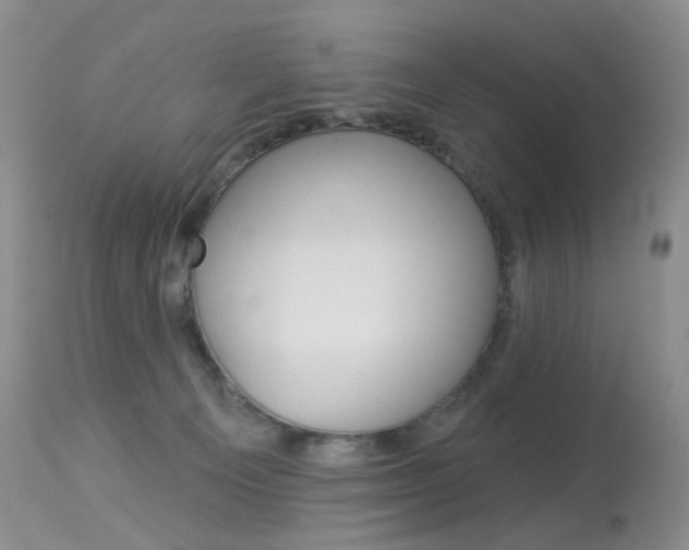 X0000113960129200909251036