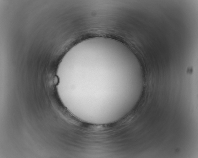 X0000113960131200909251036