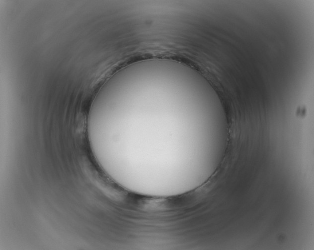 X0000113960132200909251036