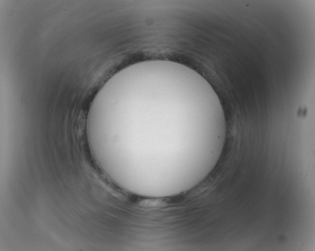 X0000113960133200909251036