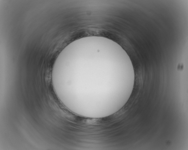 X0000113960134200909251036