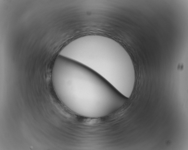 X0000113960135200909251036