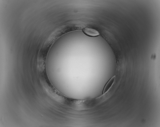 X0000113960136200909251036