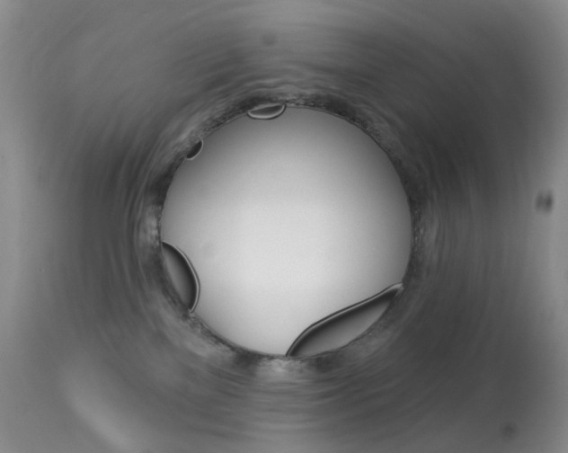 X0000113960137200909251036