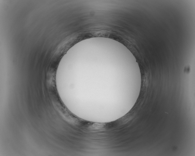 X0000113960138200909251036