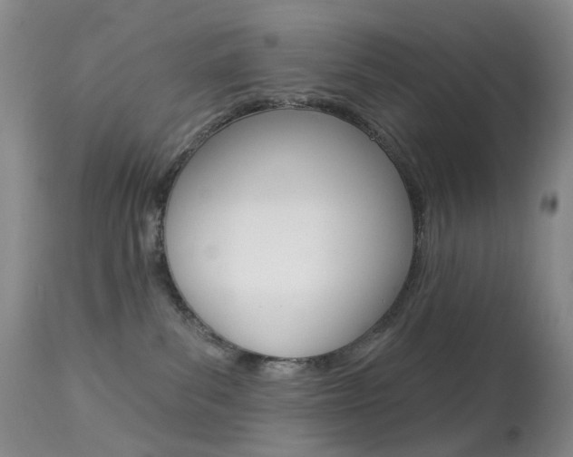 X0000113960139200909251036