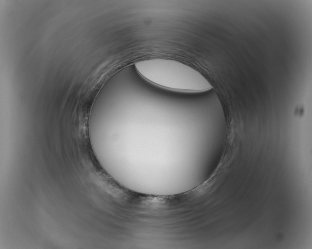 X0000113960140200909251036