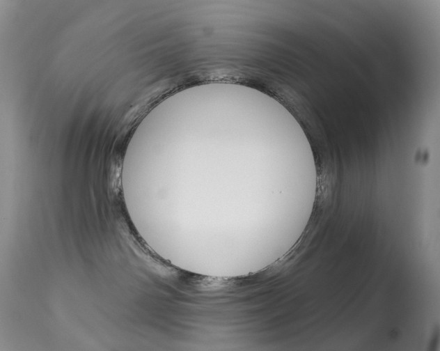 X0000113960142200909251035