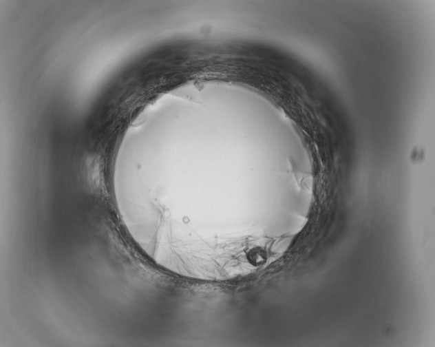 X0000113960146200909251035