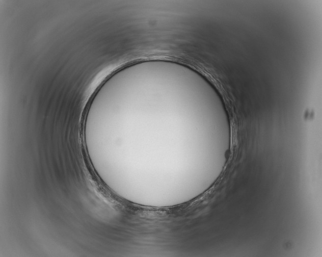 X0000113960147200909251035