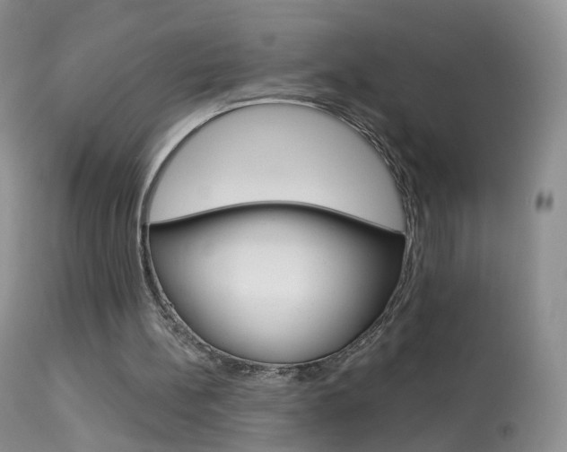 X0000113960148200909251035