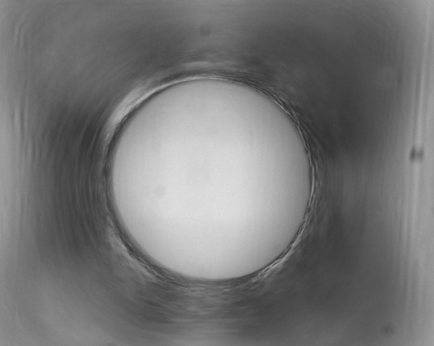 X0000113960150200909251035