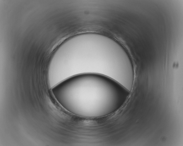 X0000113960154200909251035