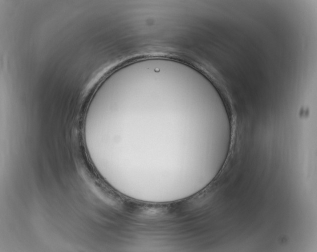 X0000113960155200909251035