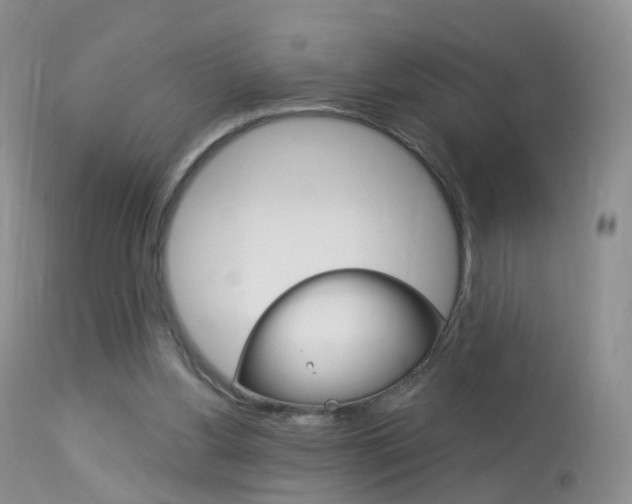X0000113960156200909251035