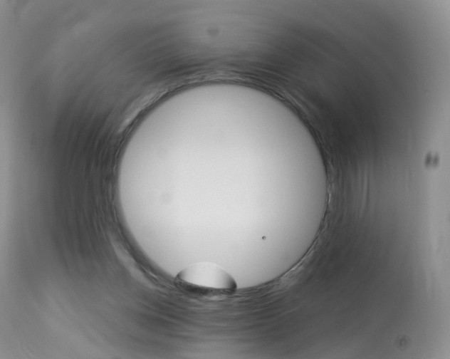X0000113960158200909251035