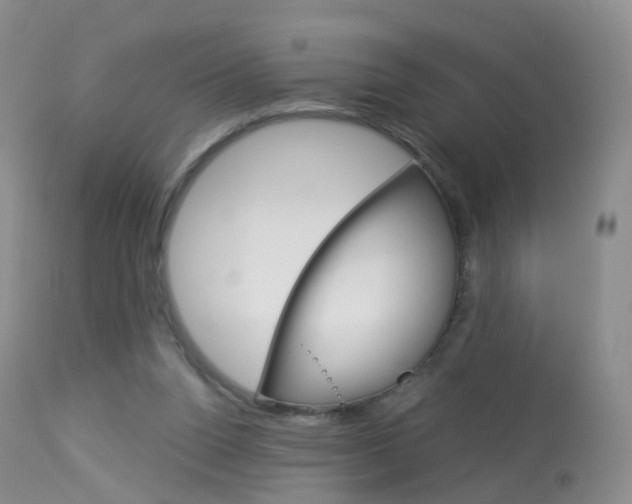 X0000113960160200909251035