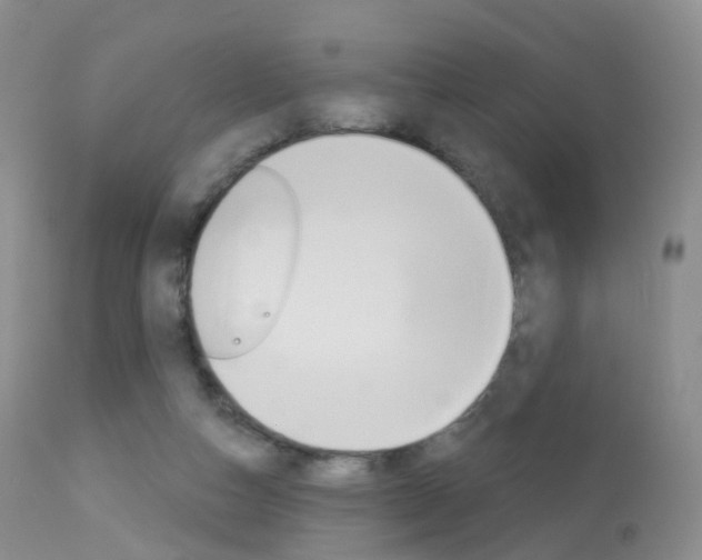 X0000113960162200909251035