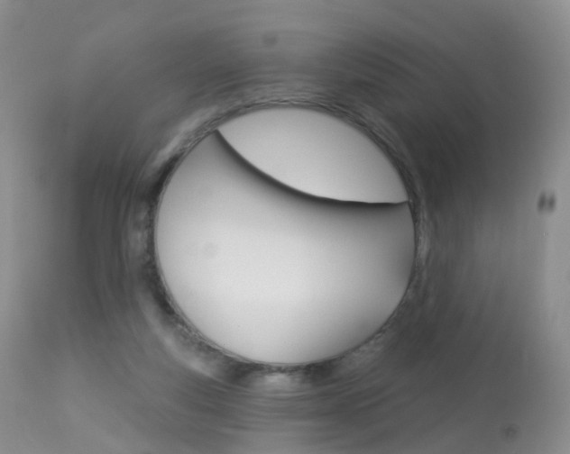 X0000113960163200909251035