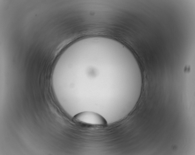 X0000113960164200909251035
