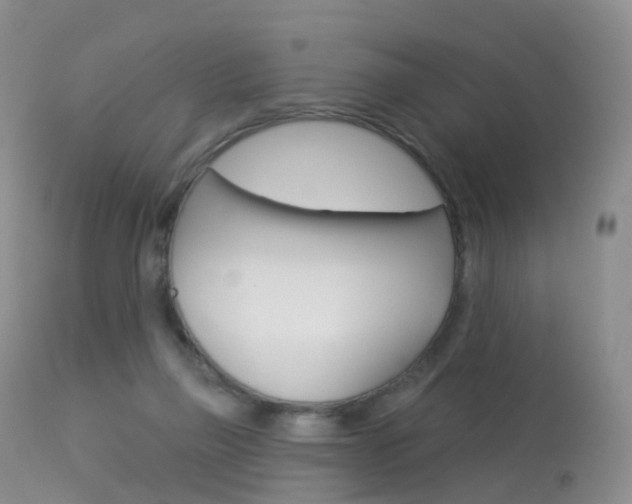 X0000113960165200909251035