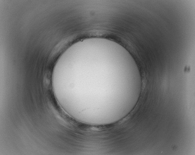 X0000113960166200909251035