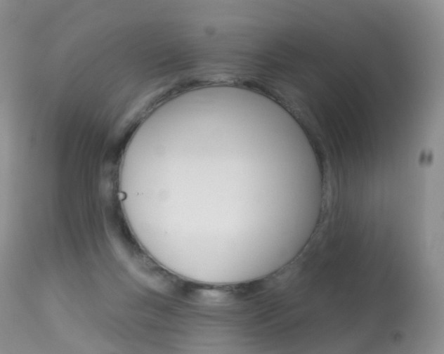 X0000113960167200909251035