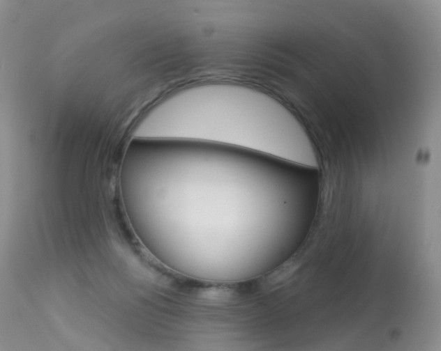 X0000113960168200909251035