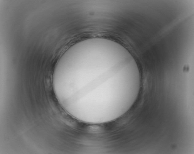 X0000113960169200909251035