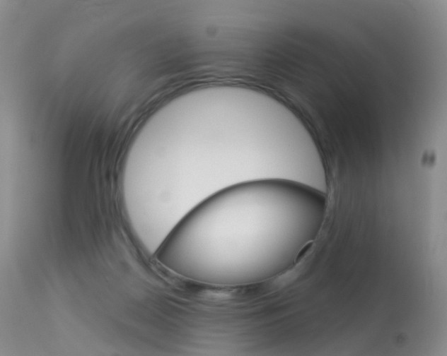 X0000113960170200909251035