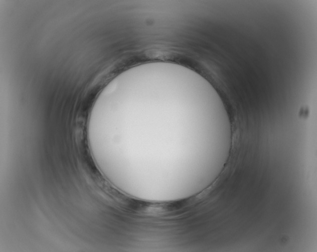 X0000113960171200909251035