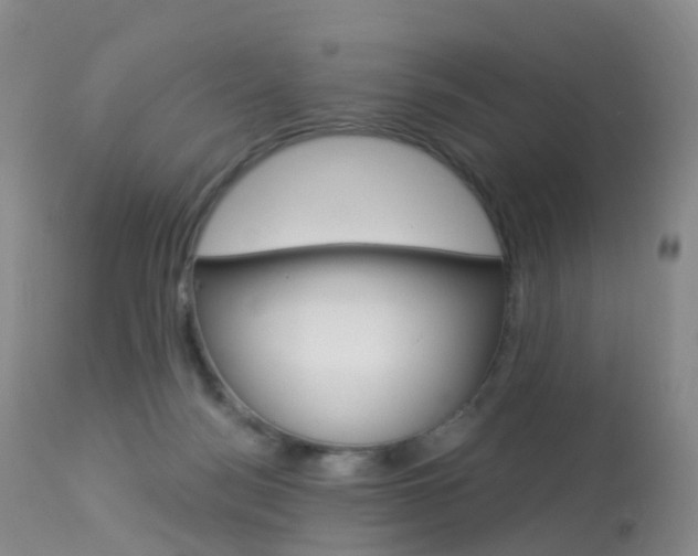 X0000113960172200909251035