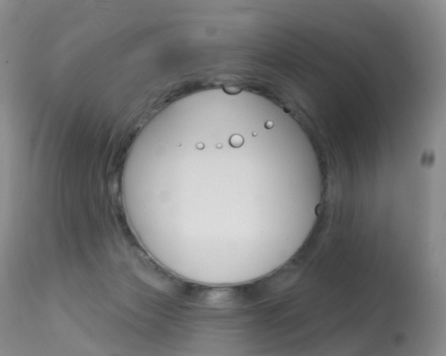 X0000113960173200909251035